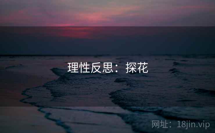 理性反思：探花