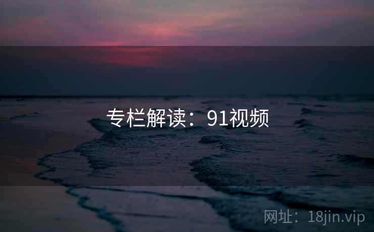 专栏解读：91视频
