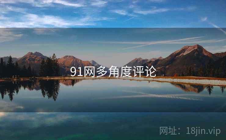91网多角度评论