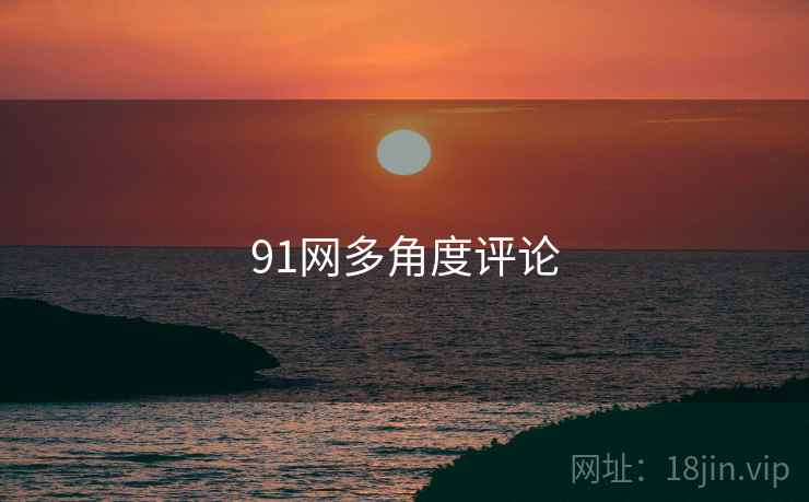 91网多角度评论