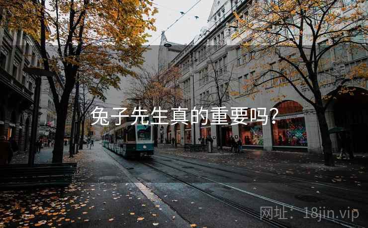 兔子先生真的重要吗？