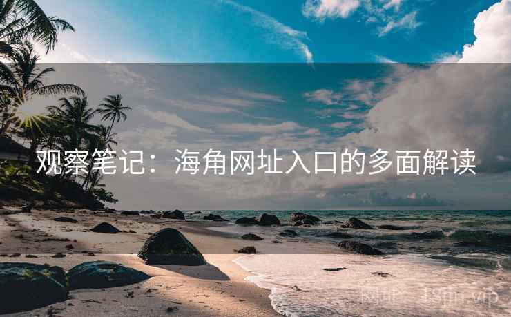 观察笔记：海角网址入口的多面解读
