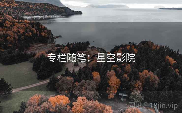 专栏随笔:星空影院