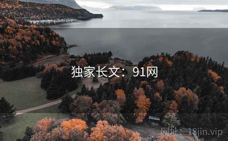 独家长文:91网