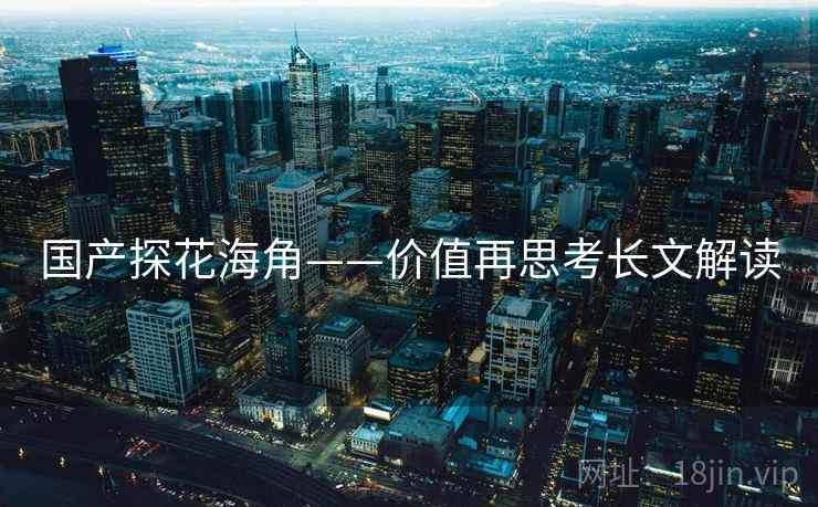 国产探花海角——价值再思考长文解读